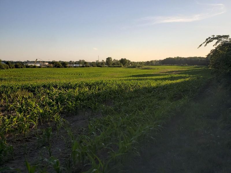 0 N Urbana Lisbon Road, South Vienna, OH 45369 Photo 19