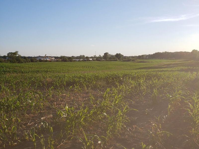 0 N Urbana Lisbon Road, South Vienna, OH 45369 Photo 20