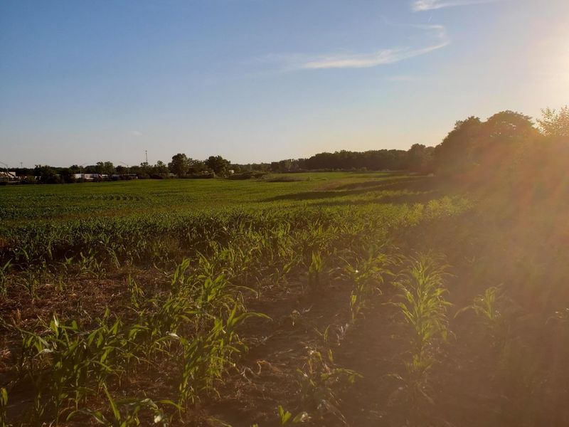 0 N Urbana Lisbon Road, South Vienna, OH 45369 Photo 21