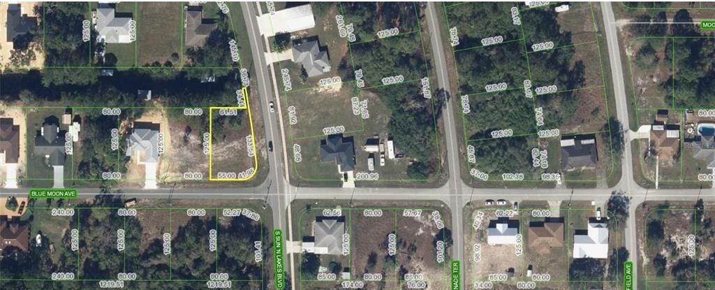 101 Blue Moon Avenue, Lake Placid, FL 33852 Photo