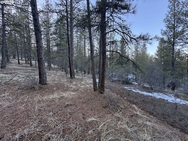 Bobcat CIR, Unit Lot 7, Beatty, OR 97621