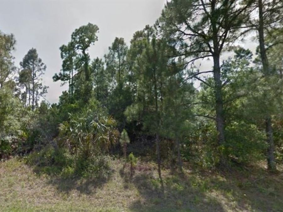 Property Image 12