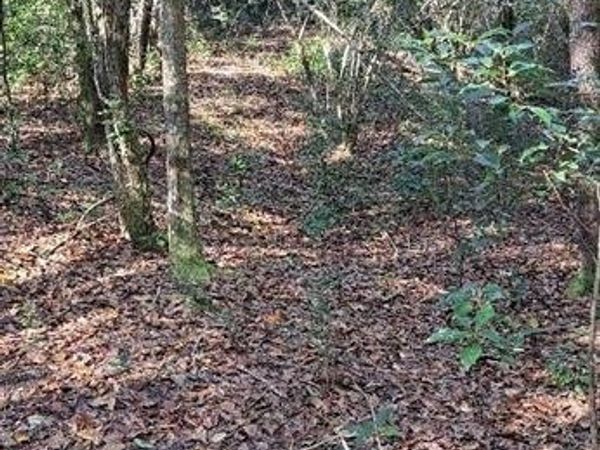 0 Dykes Road, Eight Mile, AL 36613