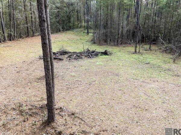 11542 Browns Rd, Folsom, LA 70437