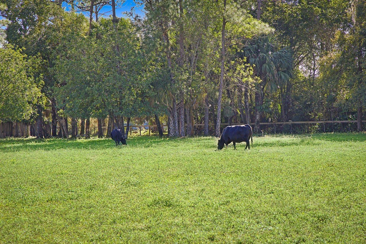 2454/2376 E Road, Loxahatchee Groves, FL 33470 Photo