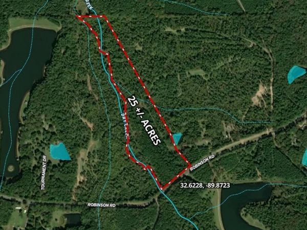 Robinson Road, Canton, MS 39046