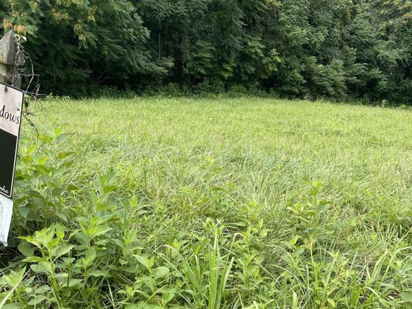 Overton Rd, Lot 2, Maynardville, TN 37807