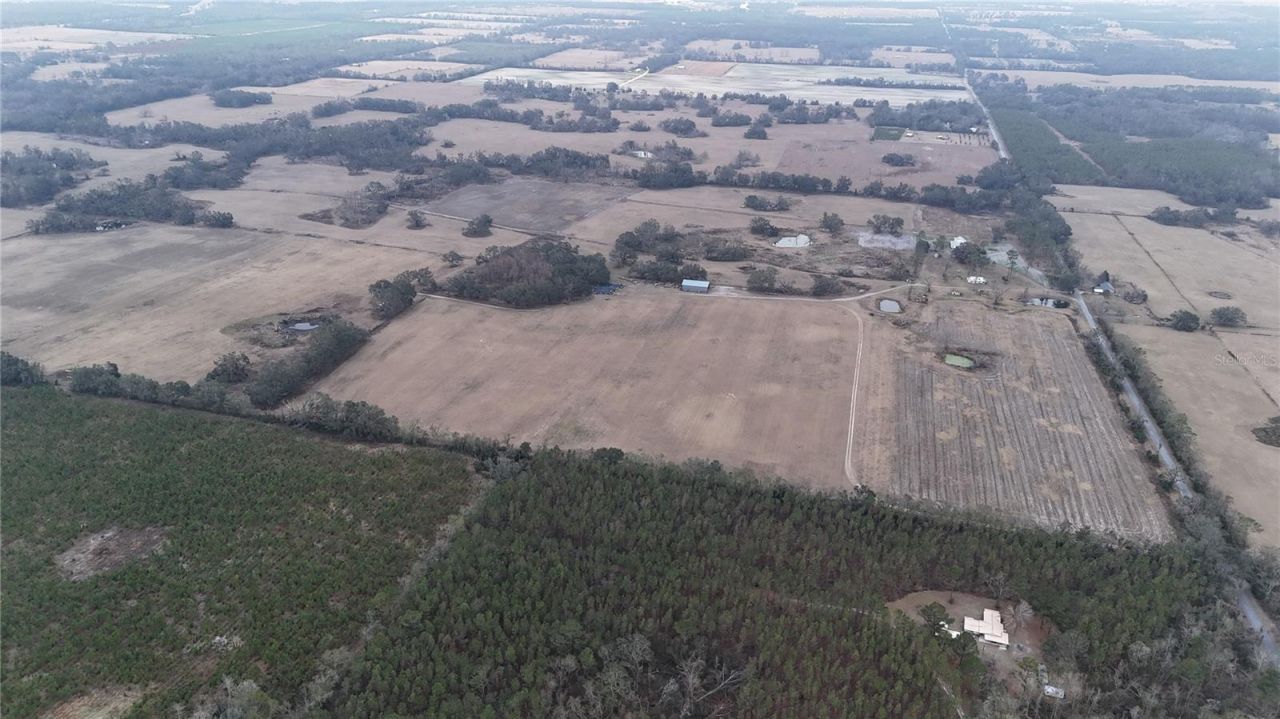 14720 40th St, Live Oak, FL 32060 Photo