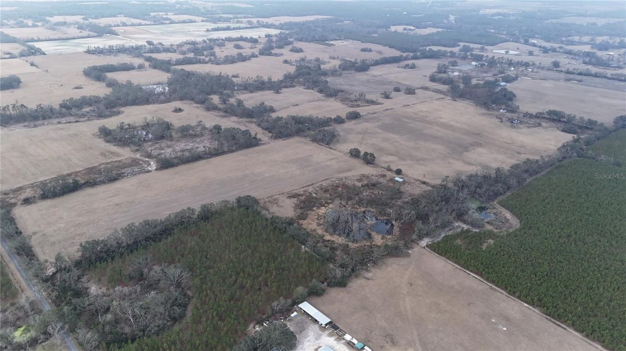 14720 40th St, Live Oak, FL 32060 Photo