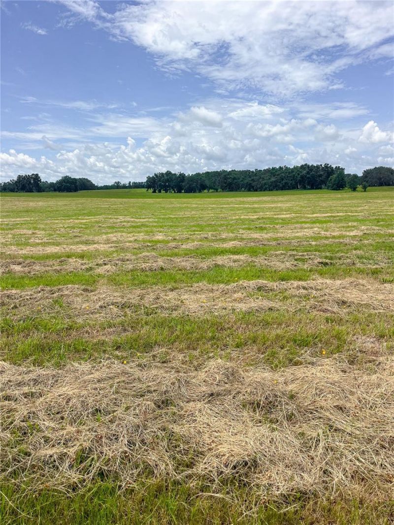 14720 40th St, Live Oak, FL 32060 Photo