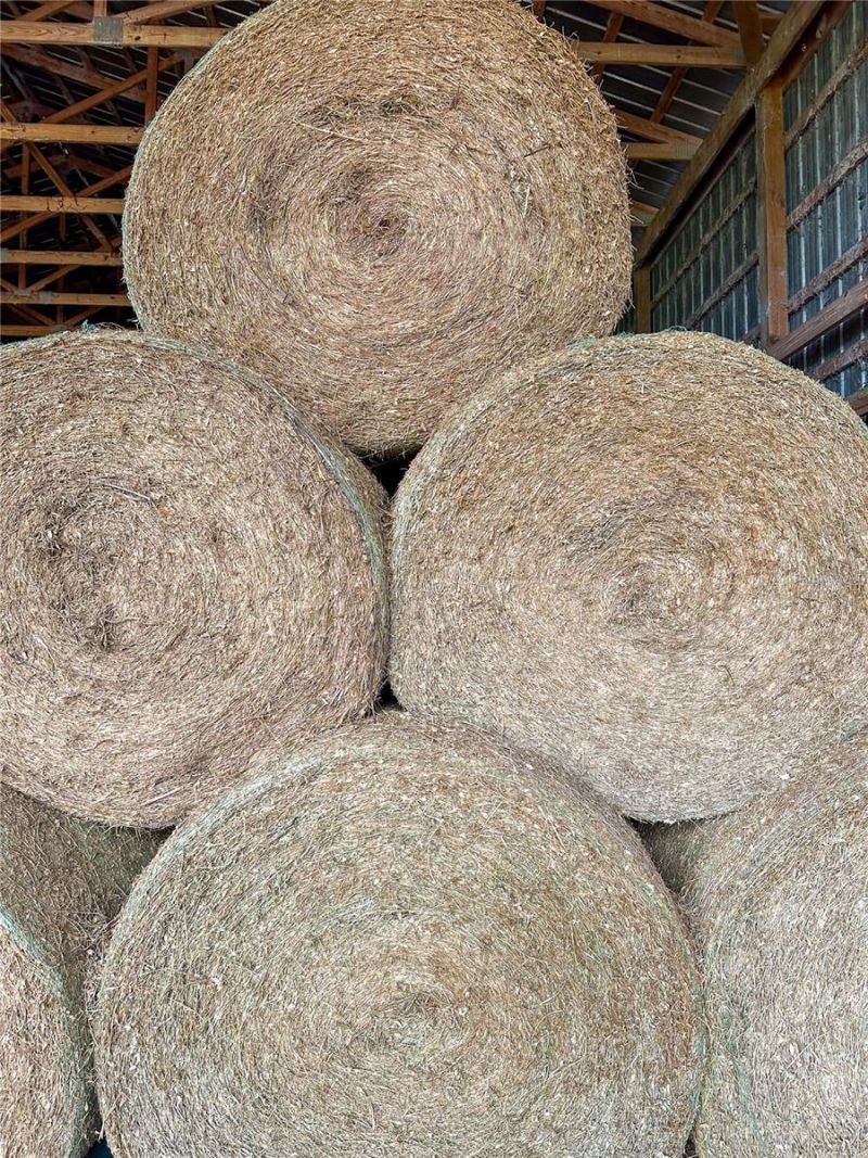 14720 40th St, Live Oak, FL 32060 Photo