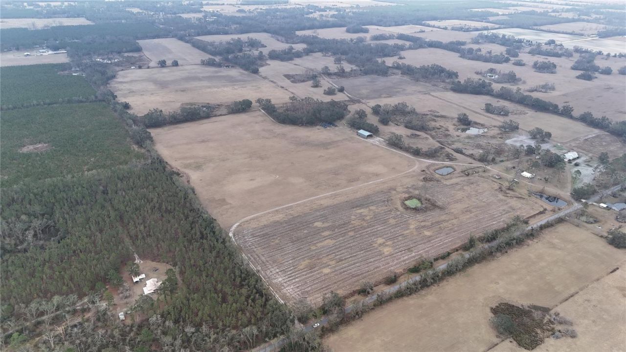 14720 40th St, Live Oak, FL 32060 Photo