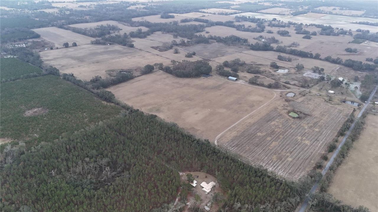 14720 40th St, Live Oak, FL 32060 Photo