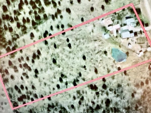 178 Private Road 5462, Mexia, TX 76667