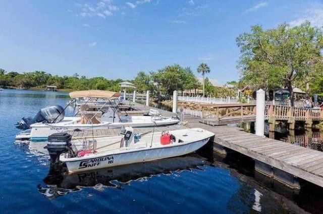 204 Virginia Avenue, Steinhatchee, FL 32359 Photo