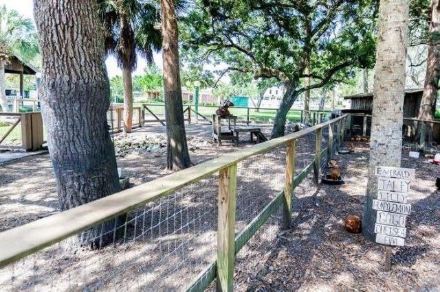 204 Virginia Avenue, Steinhatchee, FL 32359 Photo