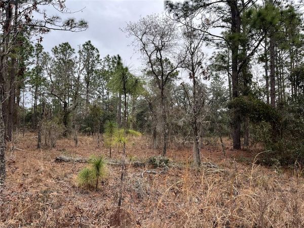 Lot 57 NW SKYLARK STREET, DUNNELLON, FL 34431