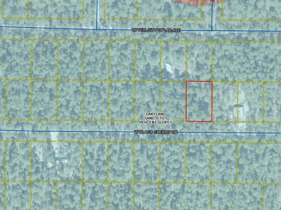 Property Image 4