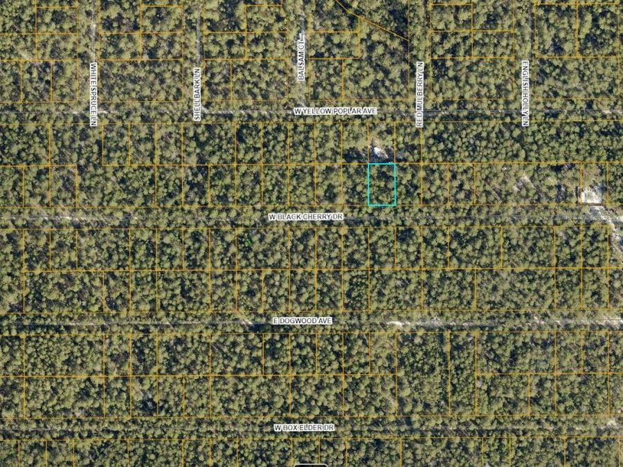 Property Image 6