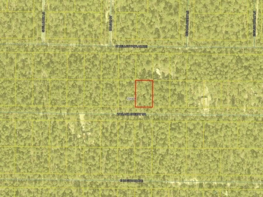 Property Image 4