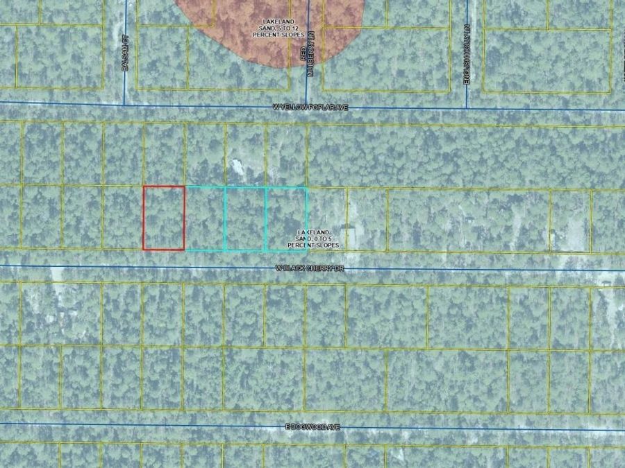 Property Image 4