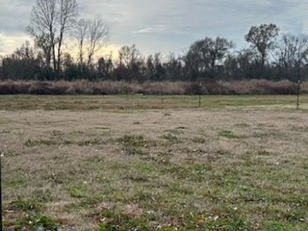 1321 BONAIRE Trace, Alexandria, LA 71303