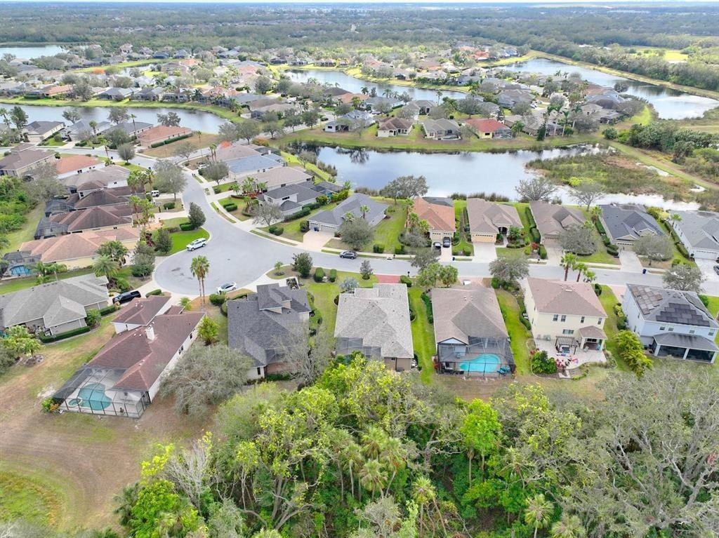 12338 Lavender Loop, Bradenton, FL 34212 Photo