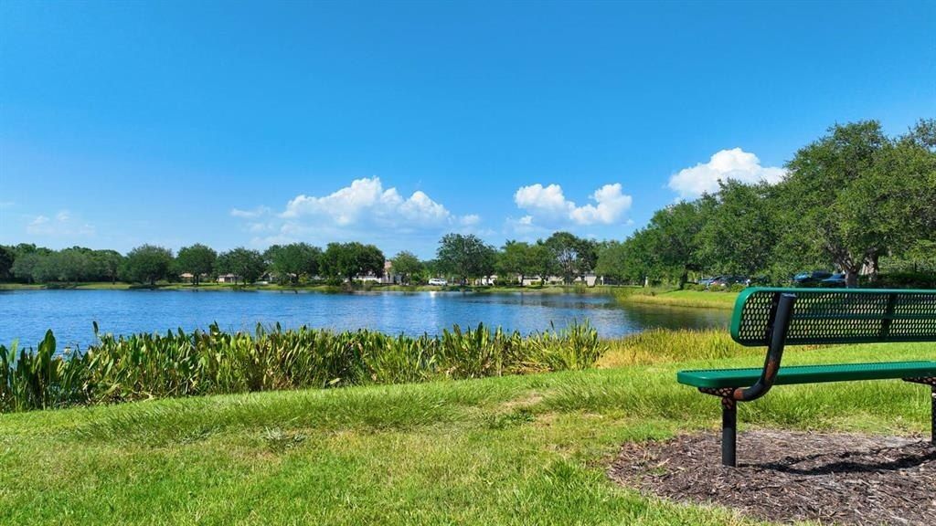 12338 Lavender Loop, Bradenton, FL 34212 Photo