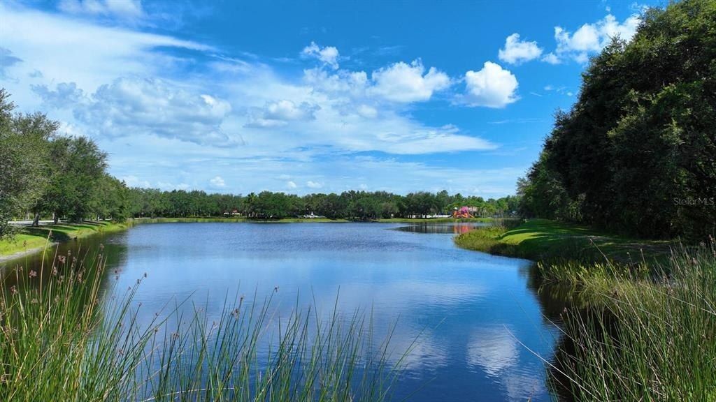 12338 Lavender Loop, Bradenton, FL 34212 Photo