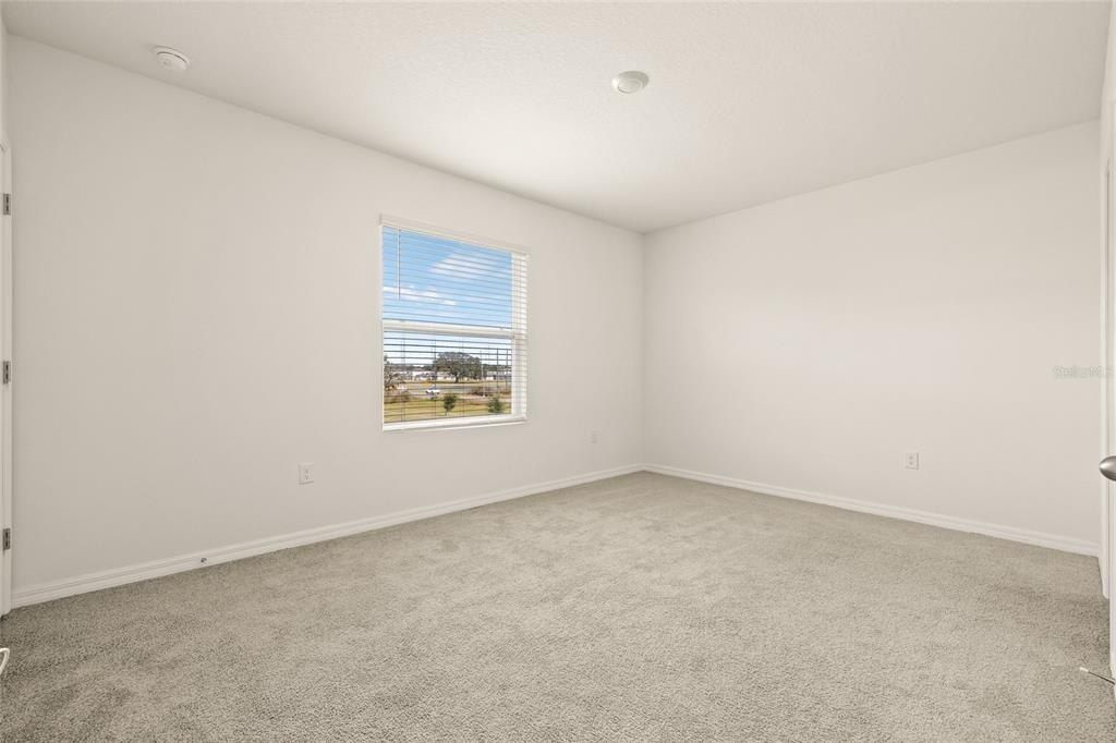 34395 Sorrel Mint Drive, Wesley Chapel, FL 33543 Photo