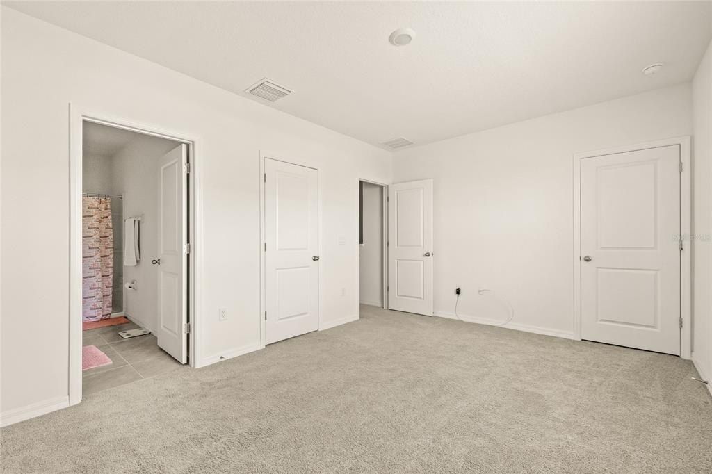 34395 Sorrel Mint Drive, Wesley Chapel, FL 33543 Photo