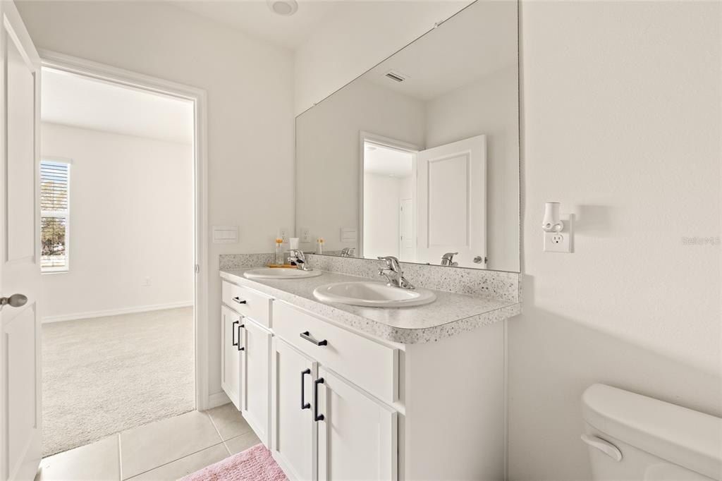 34395 Sorrel Mint Drive, Wesley Chapel, FL 33543 Photo