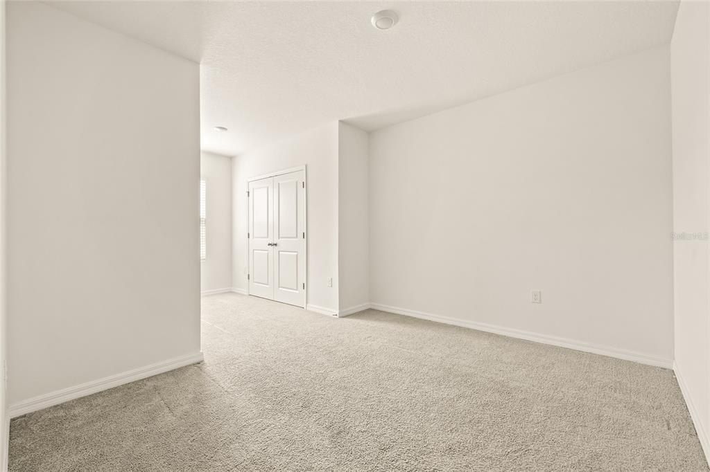 34395 Sorrel Mint Drive, Wesley Chapel, FL 33543 Photo