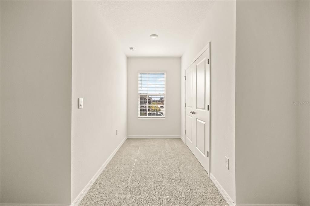 34395 Sorrel Mint Drive, Wesley Chapel, FL 33543 Photo