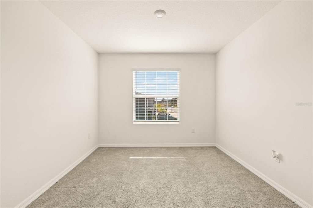 34395 Sorrel Mint Drive, Wesley Chapel, FL 33543 Photo