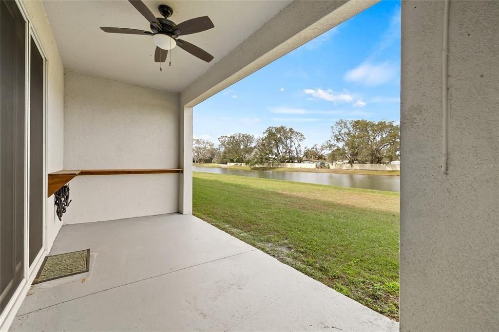 34395 Sorrel Mint Drive, Wesley Chapel, FL 33543 Photo