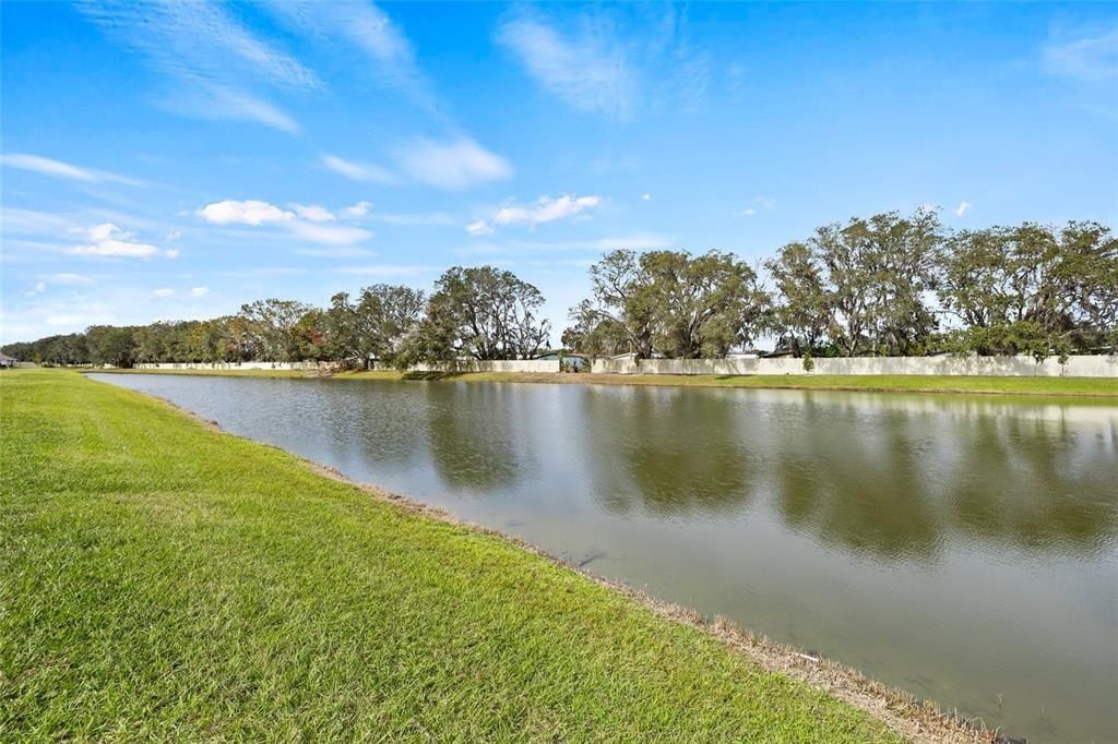 34395 Sorrel Mint Drive, Wesley Chapel, FL 33543 Photo