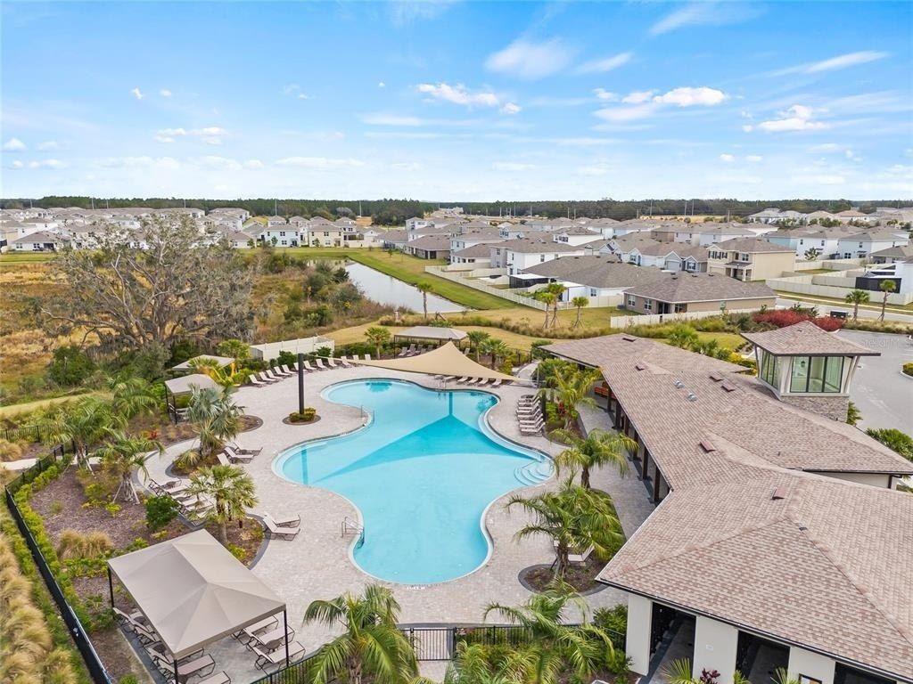 34395 Sorrel Mint Drive, Wesley Chapel, FL 33543 Photo