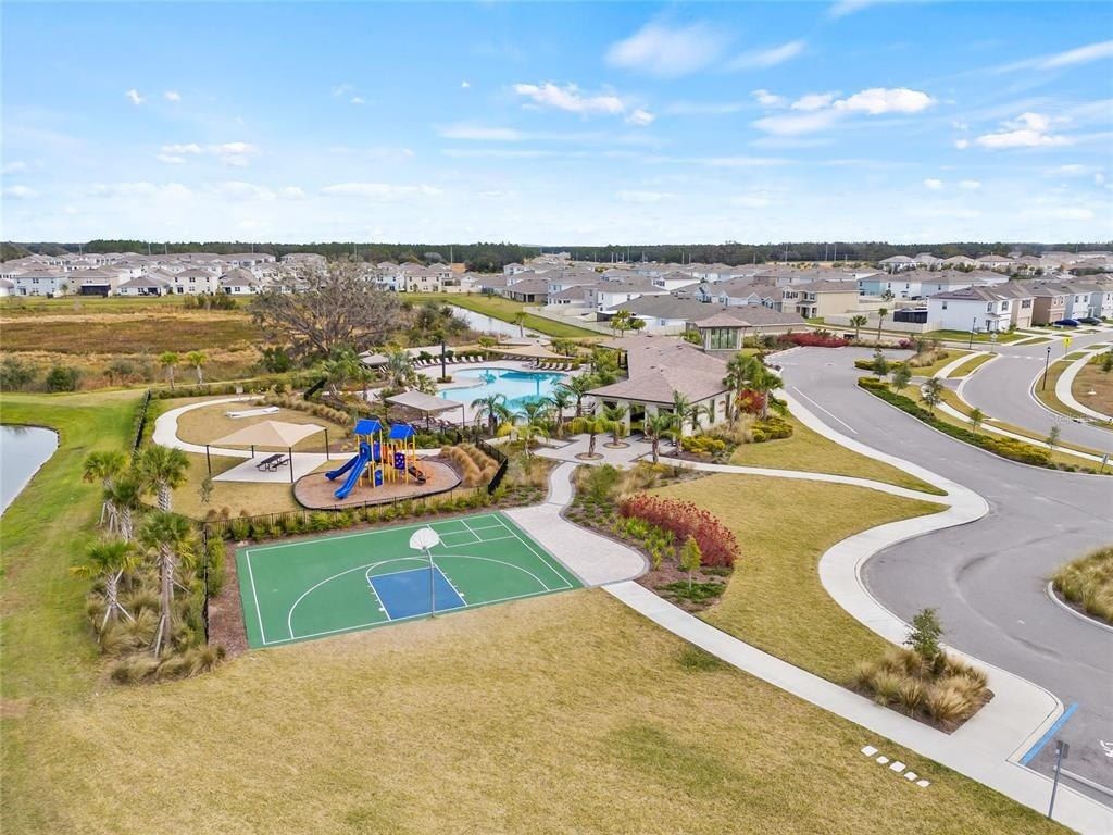 34395 Sorrel Mint Drive, Wesley Chapel, FL 33543 Photo