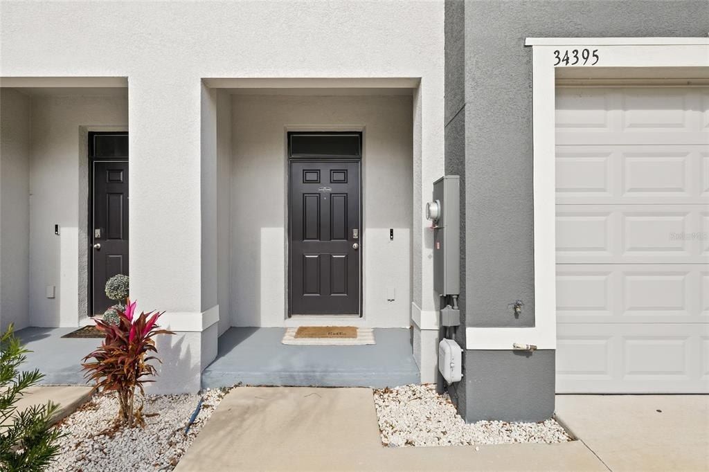 34395 Sorrel Mint Drive, Wesley Chapel, FL 33543 Photo