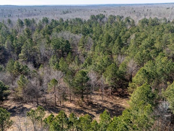 HOWELL RD, Hornsby, TN 38044
