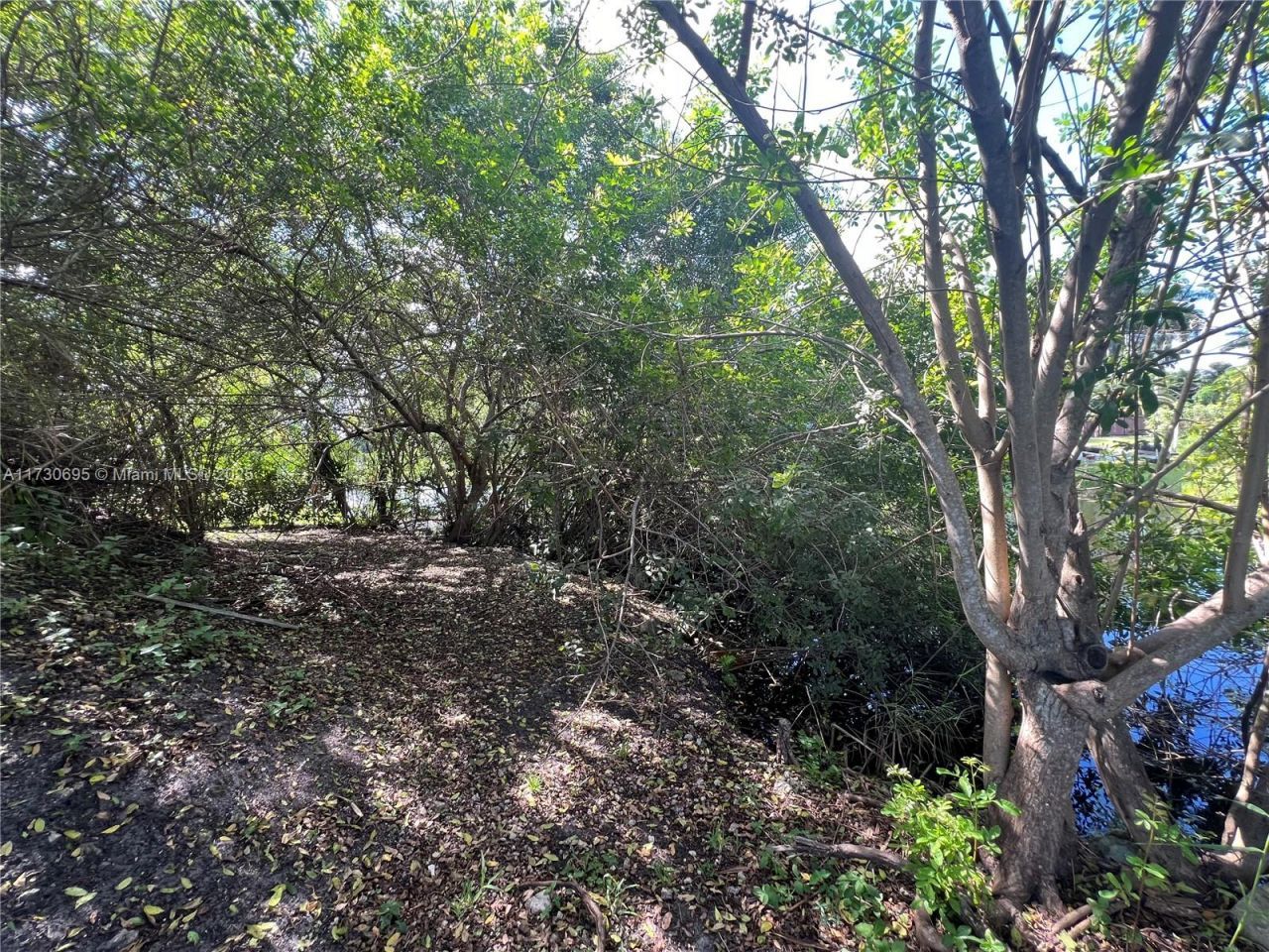 20321 SW 48th St, Southwest Ranches, FL 33332 Photo