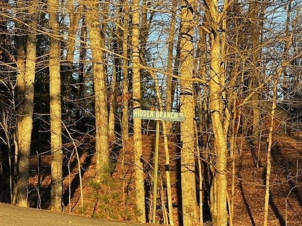 LOT 18 Hidden Branch, Young Harris, GA 30582