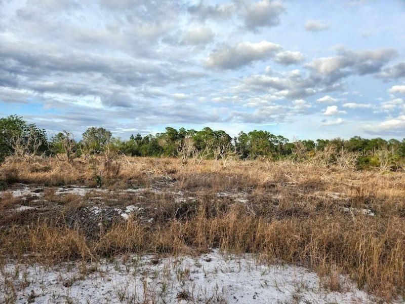 W Frostproof Road, Lot #Lot 12, Frostproof, FL 33843 Main Photo