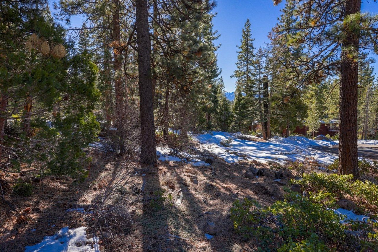 3100 North Lake Boulevard, Tahoe City, CA 96145 Photo