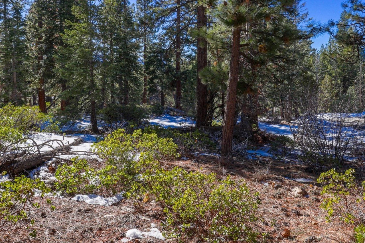 3100 North Lake Boulevard, Tahoe City, CA 96145 Photo