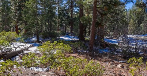 3100 North Lake Boulevard, Tahoe City, CA 96145 Photo