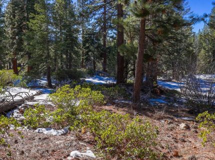 3100 North Lake Boulevard, Tahoe City, CA 96145 Photo