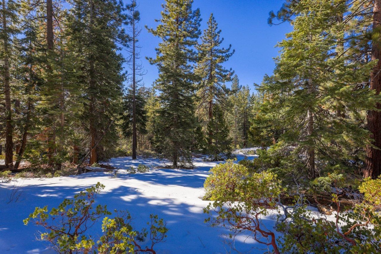 3100 North Lake Boulevard, Tahoe City, CA 96145 Photo