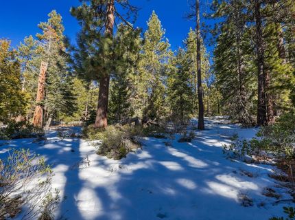 3100 North Lake Boulevard, Tahoe City, CA 96145 Photo